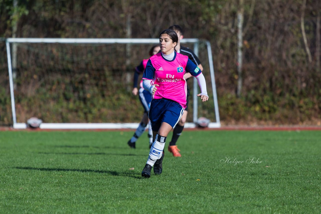 Bild 331 - B-Juniorinnen Halstenbek-Rellingen - Hamburger SV 2 : Ergebnis: 3:8